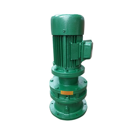 BLY系列立式專業(yè)電機(jī)直聯(lián)擺線針輪減速機(jī)